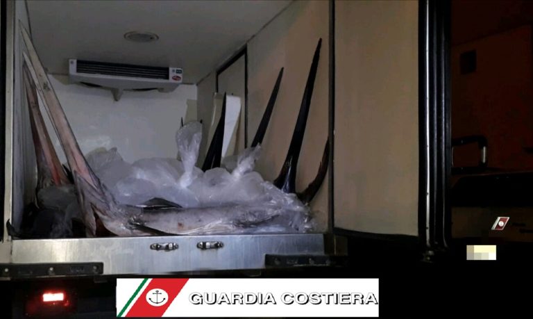 Ischia sequestro pesce spada e1562675819113