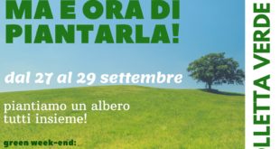 Piantiamo un albero e1567838061160