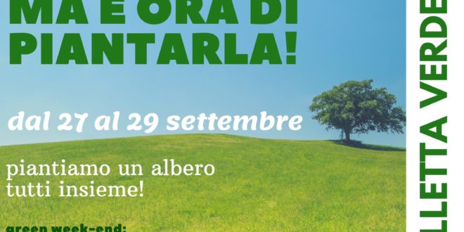 Piantiamo un albero e1567838061160