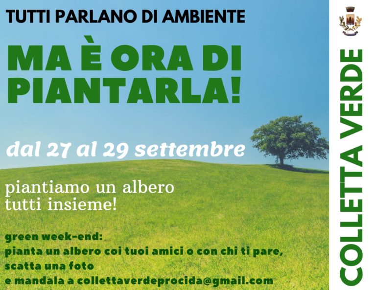Piantiamo un albero e1567838061160