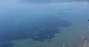 Mare di Procida foto di Goffredo e1587293223727