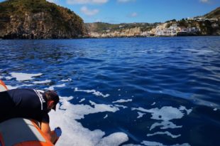 Regno di Nettuno schiuma e1590075916552