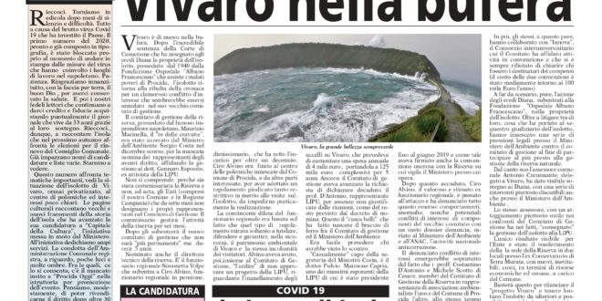 1 Pagina LUGLIO 2020 pages to jpg 0001 e1593873136332