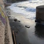 Chiaiolella spiaggia