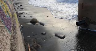 Chiaiolella spiaggia