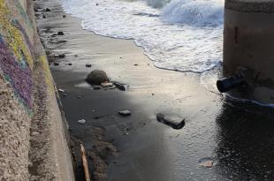 Chiaiolella spiaggia