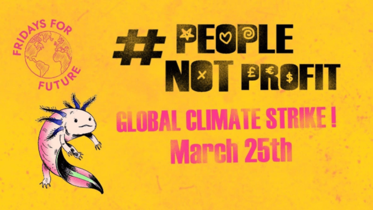 Fridays for future 25 marzo