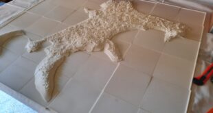 Plastico D per i non vedenti e1648042318286