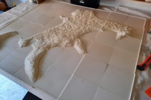 Plastico D per i non vedenti e1648042318286