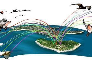 Progetto Museo Rotte Migratorie Vivara
