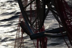 cs Procida FEAMP foto